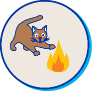 Picto  assurance chaton