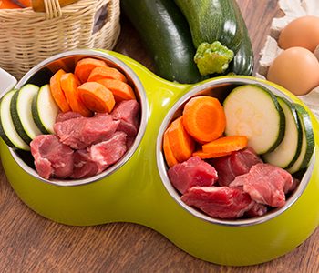 Alimentation &eacute;quilibr&eacute;e pour chien