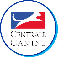 Picto centrale canine