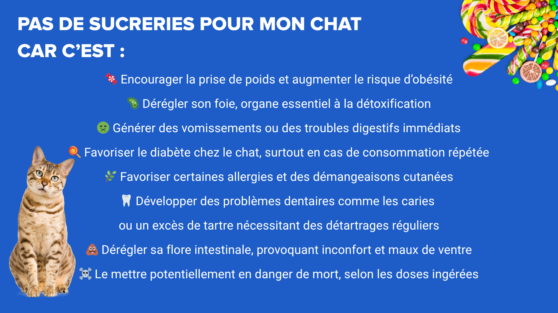 Sucreries chat