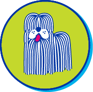 Picto Komondor