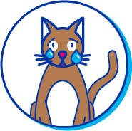 Picto &eacute;motion chat