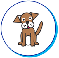 chien