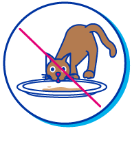 Picto chat assiette