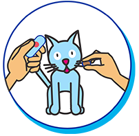 clicker