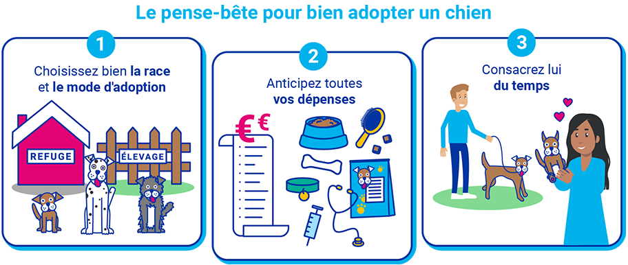 Adopter un chien