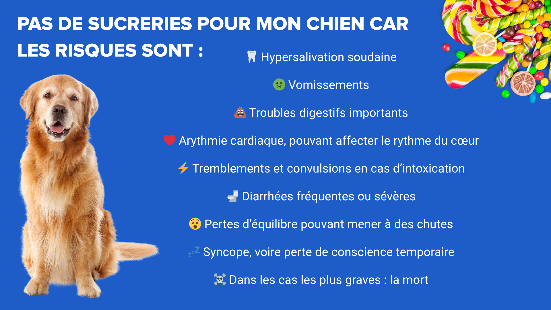 Sucreries chien