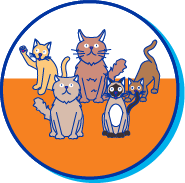 Picto races chats