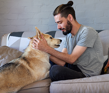 Ma&icirc;tre qui communique avec son chien