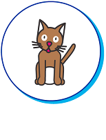 Entre 100 et 2000 € chat