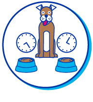 Picto chien horloges