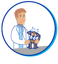 Picto medical training