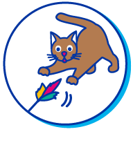 Picto chat jeu plume