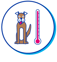 Picto chien thermostat