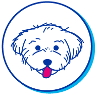 Picto Coton de Tulear
