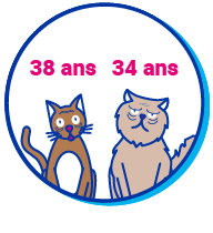 Picto Chat Vieux