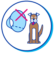 Picto chien collerette