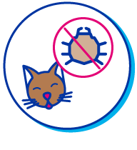 Picto chat antiparasites