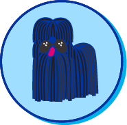 Picto Puli