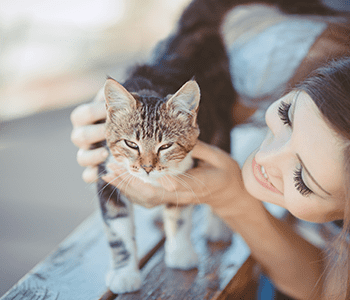 Promenade chat