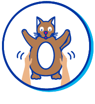 Picto chat ob&egrave;se