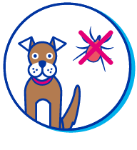 Picto chien parasite