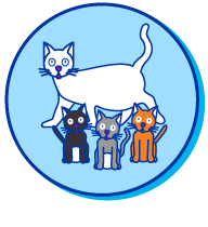 Picto chaton couleurs