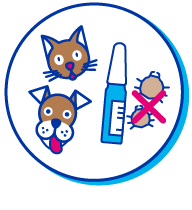 Picto chien pipette
