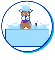Picto bain chien