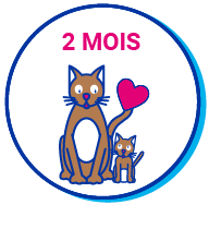 Picto chaton 2mois