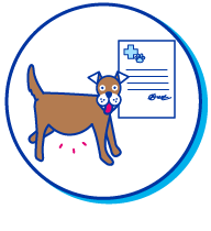Picto chien ordonnance