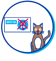 Picto spoton chat