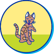 Picto d'un chat Serengeti