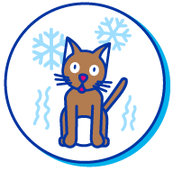 Picto chaton froid
