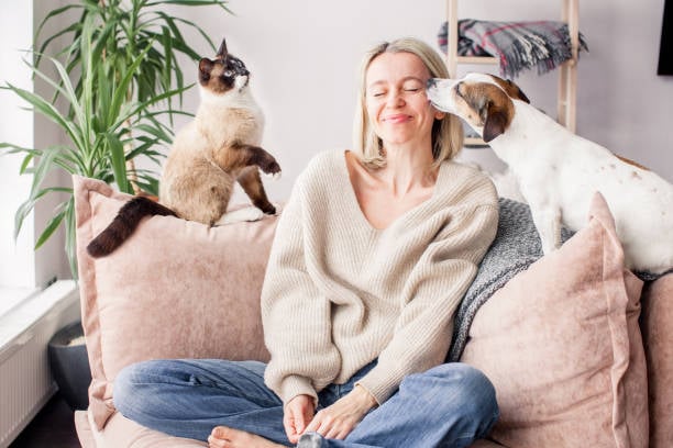 Femme sur le canapé avec le chien et le chat