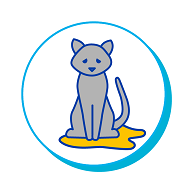 chat urine partout