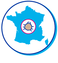 Picto tique carte