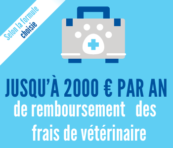 Jusqu'&agrave; 2000&euro;