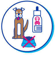 Picto chien poison