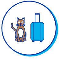 Picto chat valise