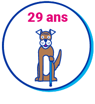 Picto Chien Vieux