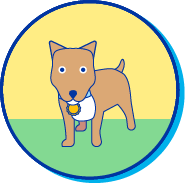 Picto shiba inu