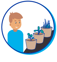 Picto enfant plantes
