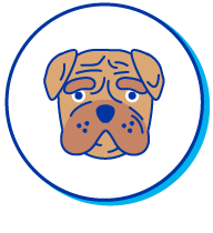 Picto SharPei