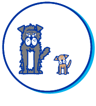 Picto chien ag&eacute;