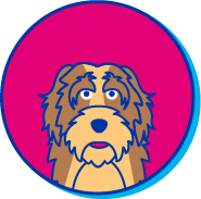 Picto basset griffon