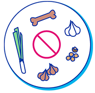 Aliments toxiques pour les chiens