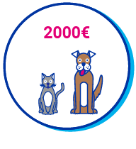 Picto chien chat 2000