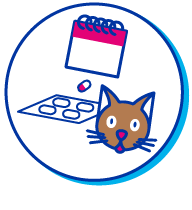 Picto chat pilule