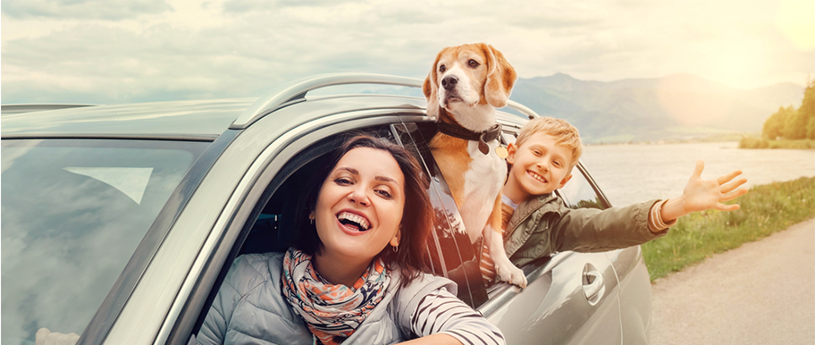 famille et chien en voiture